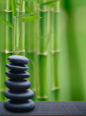 bamboo